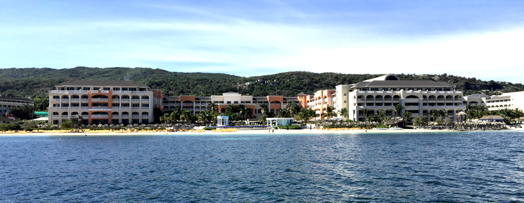 A Wedding in Jamaica ft. The Stovers